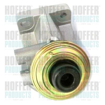 HOFFER Injection System 8029026 buy