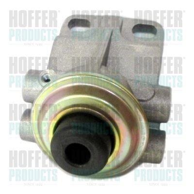 HOFFER Injection System 8029027 buy