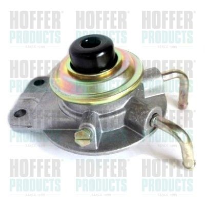 HOFFER Injection System 8029029 buy