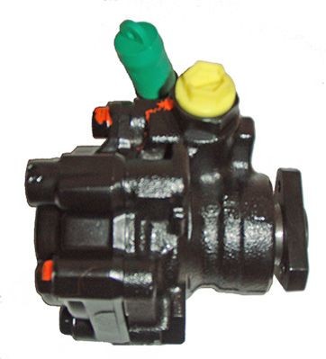 04.15.0015 LIZARTE Steering pump RENAULT Hydraulic, black