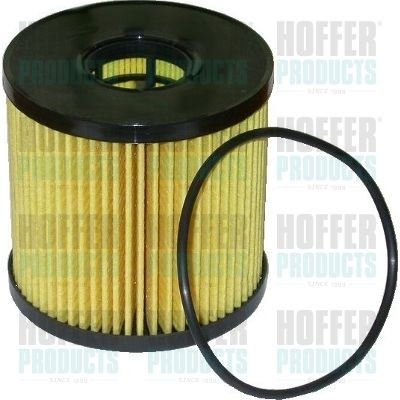 HOFFER 14052 Oil filter 15209-00QAA