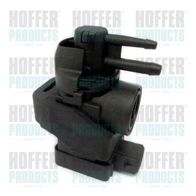 HOFFER 8029227 Pressure Converter, exhaust control 8200486264
