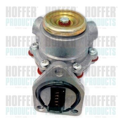 HOFFER HPON132 Fuel pump 0223 9550