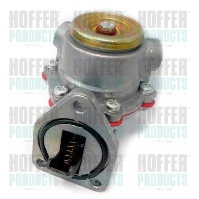 HOFFER Mechanical Fuel pump motor HPON187 buy