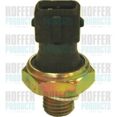 HOFFER 7532023 Oil Pressure Switch 17105092A