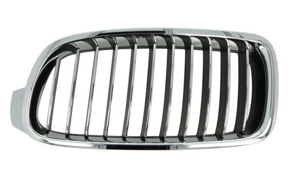 BLIC 6502-07-0063997P BMW 3 Series 2013 Grille assembly