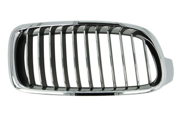 BLIC 6502-07-0063998P BMW 3 Series 2017 Front grill