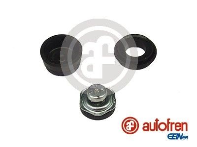 AUTOFREN SEINSA Repair Kit, brake master cylinder D1042 buy