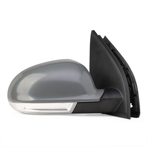 50O0169 Autospiegel RIDEX - Markenprodukte billig