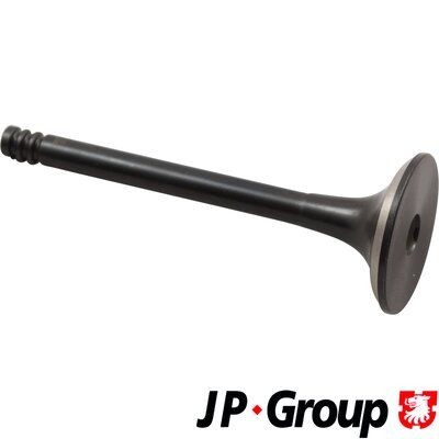JP GROUP Exhaust valve 1111306700 Volkswagen TOURAN 2006