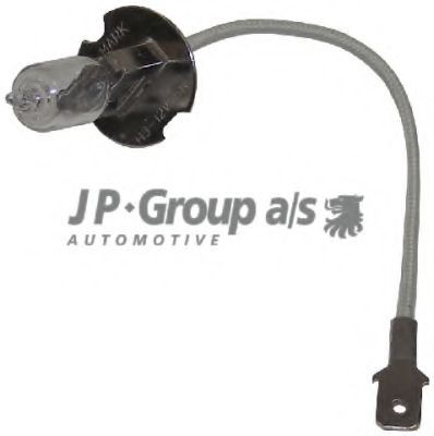 1195902000 JP GROUP Headlight bulbs buy cheap