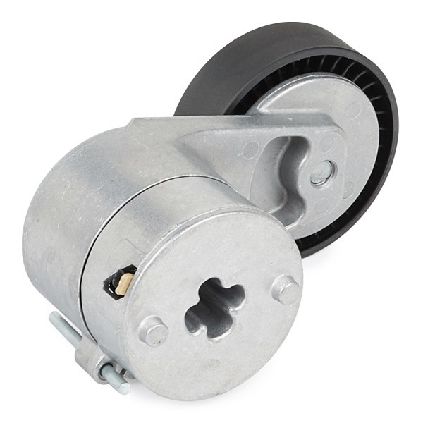 RIDEX 310T0025 Belt tensioner pulley