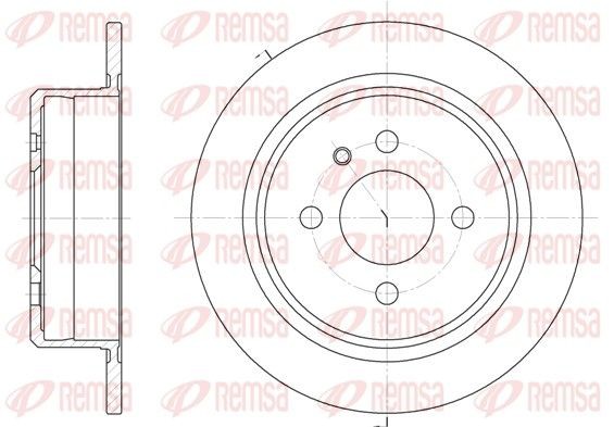 REMSA 6197.00 Brake disc Rear Axle, 258x10mm, 4, solid