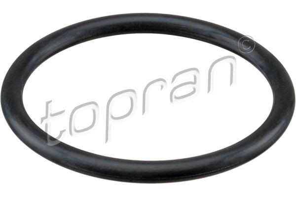 Original 113 884 TOPRAN Holder, air filter housing experience and price