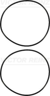 REINZ 15-73194-01 O-ring set, cylinder sleeve order