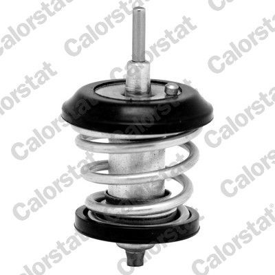 CALORSTAT by Vernet Opening Temperature: 95°C, 41,0mm, with seal D1: 41,0mm Thermostat, coolant TH7188.95J buy