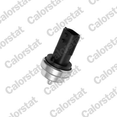 CALORSTAT by Vernet WS3019 Sensor, coolant temperature NISSAN experience and price