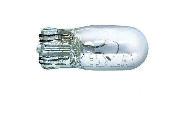TESLA B63101 Bulb, indicator SMART experience and price