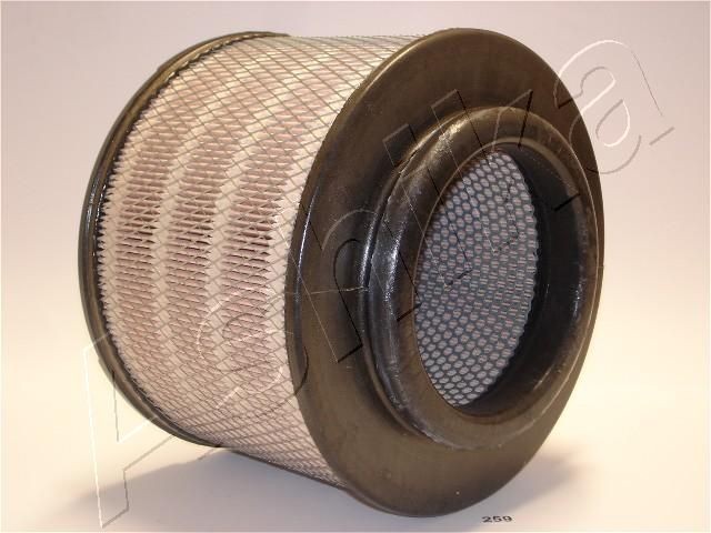 ASHIKA 20-02-259 Air filter 172mm, 220mm, Filter Insert