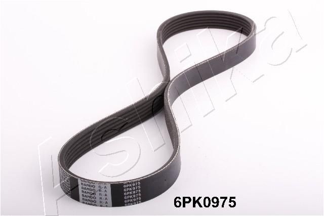 ASHIKA 112-6PK975 V-Ribbed Belt Set Y60115909