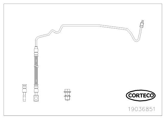 19036851 Brake flexi hose CORTECO 19036851 review and test