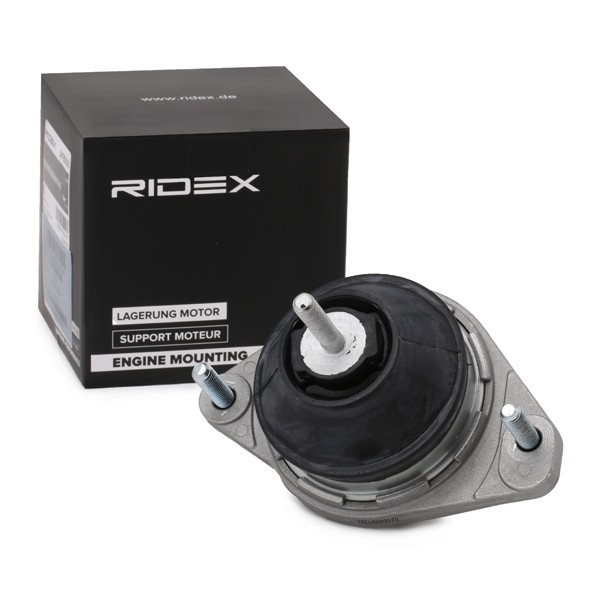 RIDEX Motor mount 247E0030