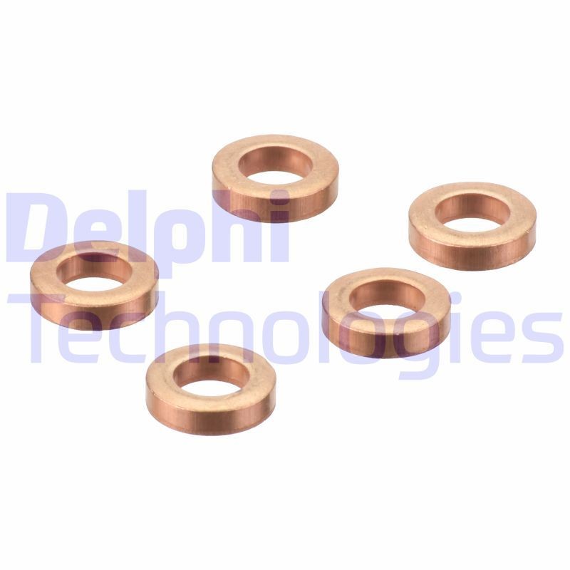 DELPHI 9001-850L Heat Shield, injection system