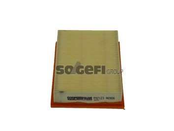 COOPERSFIAAM FILTERS PA7123 Air filter 89FF 9601 AA