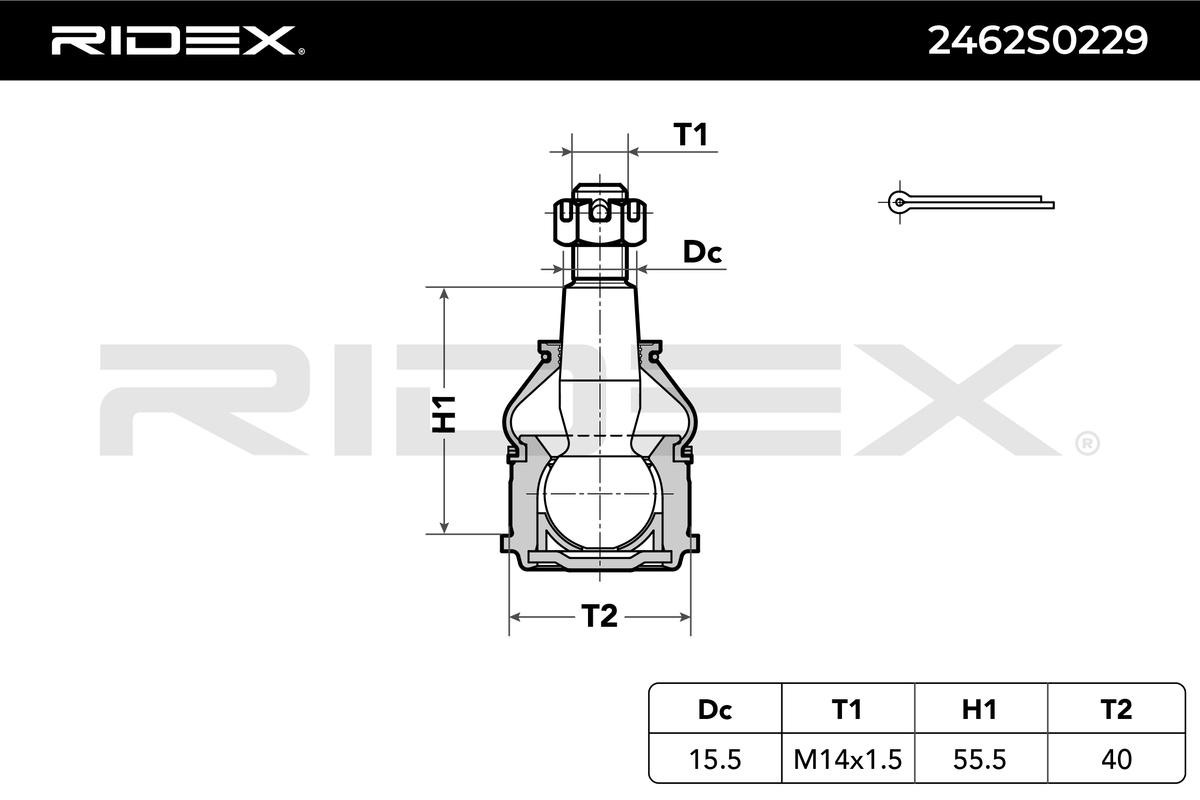 RIDEX Ball joint in suspension 2462S0229 for HONDA CR-V