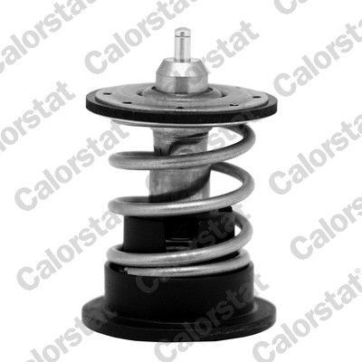 CALORSTAT by Vernet Engine thermostat TH7088.87 BMW X3 2013
