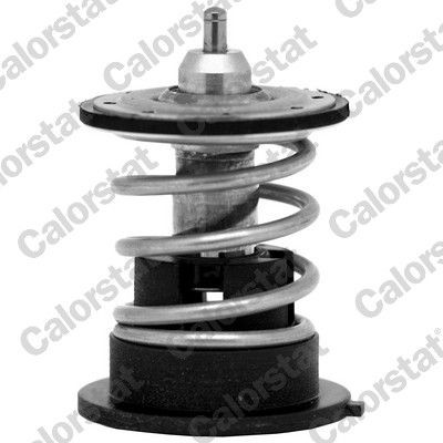 CALORSTAT by Vernet Engine thermostat TH7287.87 BMW 3 Series 2017
