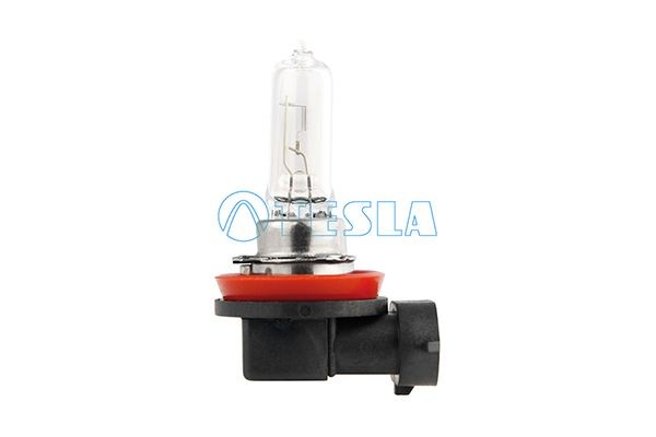 TESLA B10901 Headlight bulb PGJ19-5, 12V, 65W