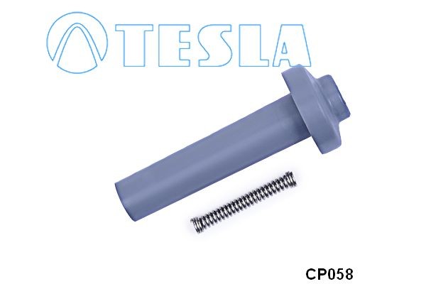 TESLA CP058 Plug, spark plug FIAT DUCATO 1999 price