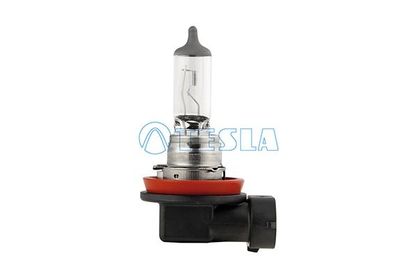 TESLA B11101 Headlight bulb PGJ19-2, 12V, 55W