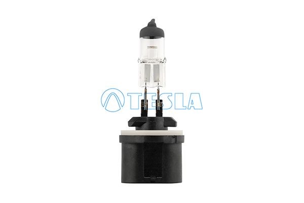 Volkswagen PASSAT Fog light bulb 8287733 TESLA B12711 online buy