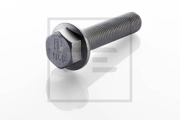 PETERS ENNEPETAL Front Axle Bolt, brake disc 010.170-00A buy