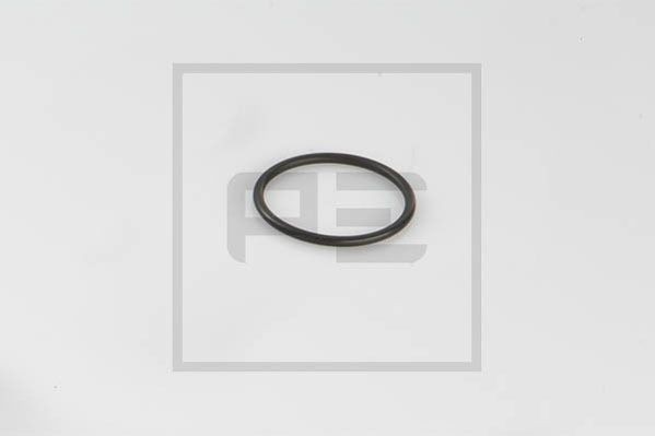 PETERS ENNEPETAL 030.481-00A Gasket, thermostat 0249972848