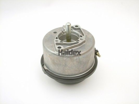 HALDEX Piston Brake Cylinder 343411001 buy