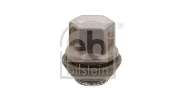 FEBI BILSTEIN 03519 Dichtung, Wasserpumpe für ERF ECT LKW in Original Qualität