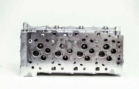 908813 Cylinder Head 908813 AMC with camshaft(s), with valves, with valve springs, Direct Injection