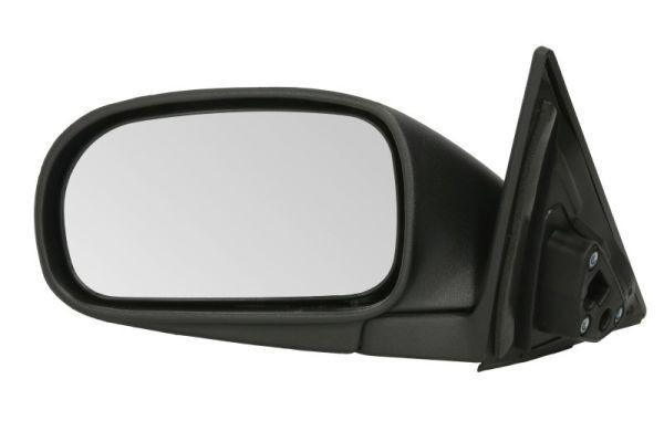BLIC Left, black, Manual, Convex Side mirror 5402-18-009363P buy
