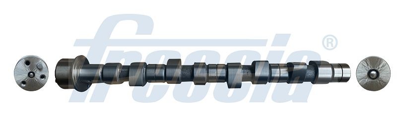 Iveco Camshaft FRECCIA CM05-2192 at a good price