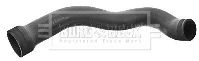 BORG & BECK BTH1324 Charger Intake Hose A9015281882