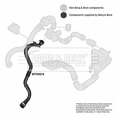 BTH1614 Charger Intake Hose BORG & BECK BTH1614 review and test