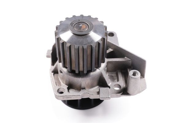 GK Water pump for engine 981208