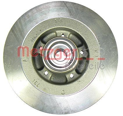Renault SCÉNIC Disc brakes 836994 METZGER 6110009 online buy