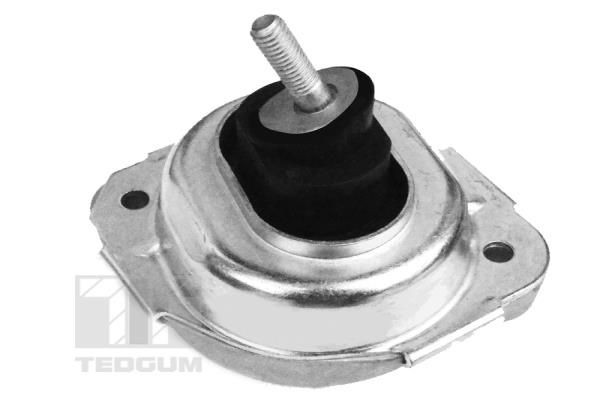 Great value for money - TEDGUM Engine mount 00088550