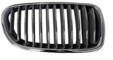 004-31-488 ABAKUS Front grille BMW Right, primed, black