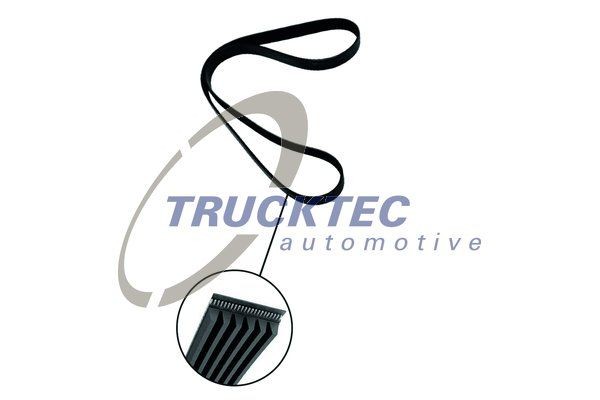 TRUCKTEC AUTOMOTIVE 01.19.109 Keilrippenriemen für IVECO EuroCargo I-III LKW in Original Qualität