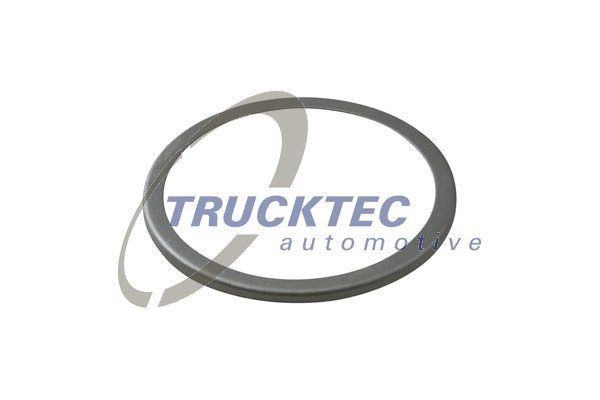TRUCKTEC AUTOMOTIVE 01.24.197 Tailgate strut 698621